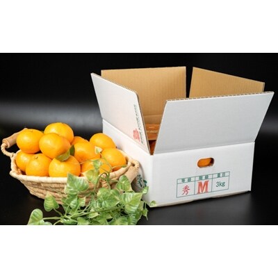 「先行受付」有田みかん 旬果楽喜　約3kg入(S～L　サイズおまかせ)