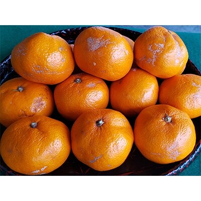 「先行受付」家庭用有田みかん(傷あり)約4kg(サイズ混載)