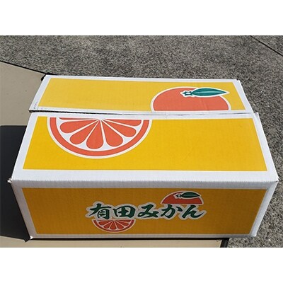 「先行受付」家庭用有田みかん(傷あり)約4kg(サイズ混載)