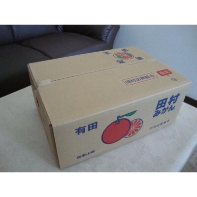 田村みかん　約5kg入　(2L～3L　サイズおまかせ)