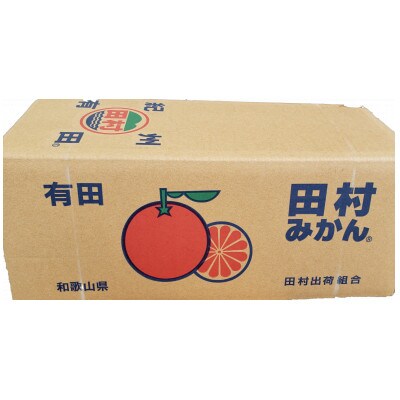 【ご家庭用】田村みかん約5kg