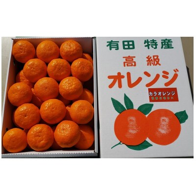 【先行受付】カラマンダリン約4kg