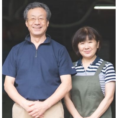 梅塩使用の塩サバフイレ12枚入り