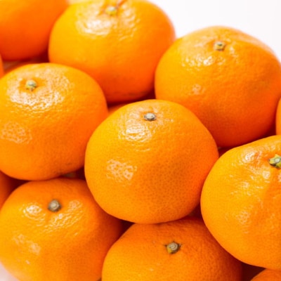 ブランド有田みかん【L】秀品5kg/薄皮で甘い美味しいみかん/産地直送/紀伊国屋文左衛門本舗