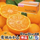 ブランド有田みかん【M】秀品5kg/薄皮で甘い美味しいみかん/産地直送/紀伊国屋文左衛門本舗