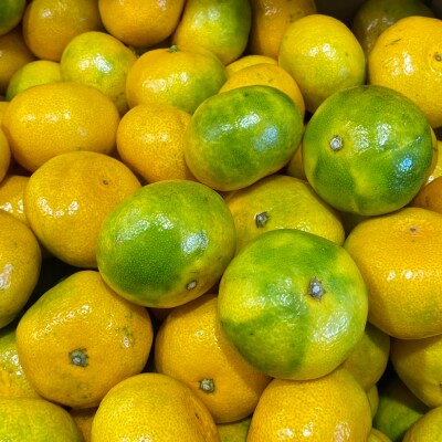 ブランド有田みかん S 秀品5kg 薄皮で甘い美味しいみかん 産地直送 紀伊国屋文左衛門本舗 お礼品詳細 ふるさと納税なら さとふる