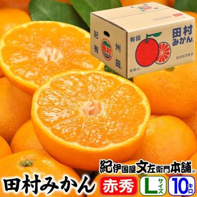 田村みかん/特選ギフト品10kg【Lサイズ】赤秀/湯浅町田村地区産/産地直送/紀伊国屋文左衛門本舗