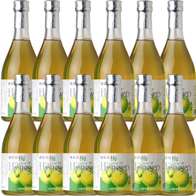 梅ハニップ Honeyp 590g【緑】12本セット 希釈用 梅ドリンク/プラム食品(F006)