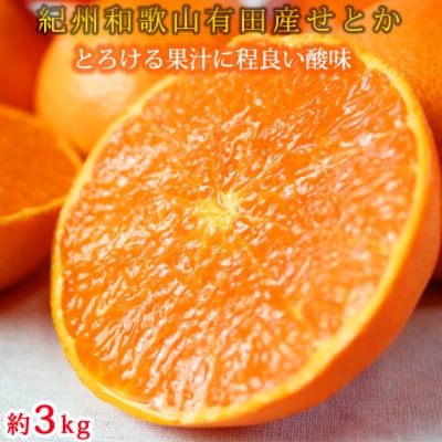 【先行受付】とろける食感!ジューシー柑橘　せとか　約3kg