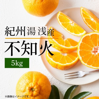 【先行予約】【2027年2月中旬より発送】紀州湯浅産不知火(しらぬひ) 約5kg