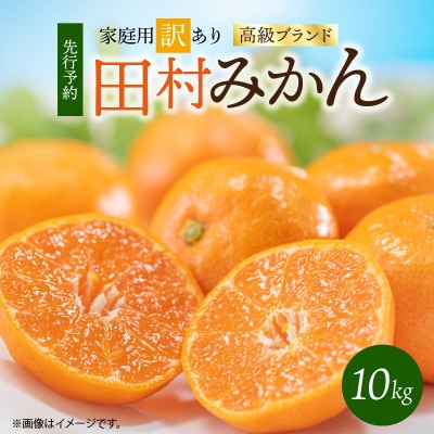 【2026年11月下旬より発送】【湯浅町】【ご家庭用訳あり】田村みかん　2S～2Lサイズ　10kg