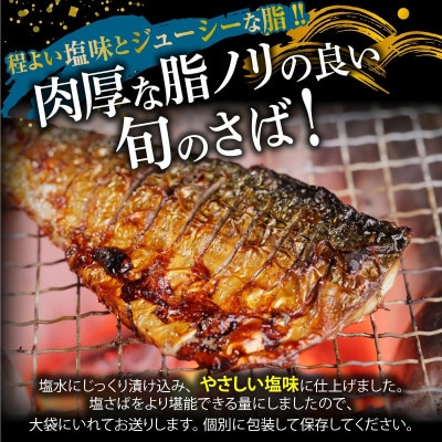 塩さばフィレ24枚入(真空パック入)