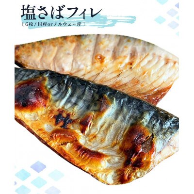 【2024年5月上旬発送】迷ったらコレ!!魚鶴商店の天然紅サケ1kg & 塩さばフィレ6枚セット