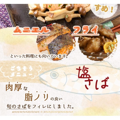 和歌山魚鶴仕込の甘口塩銀鮭切身4切&天然塩さばフィレ4枚(2切×2パック&2枚×2パック　小分け)
