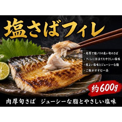 【ご家庭用訳あり】人気の塩さばフィレ&紅鮭切身セット計1kg