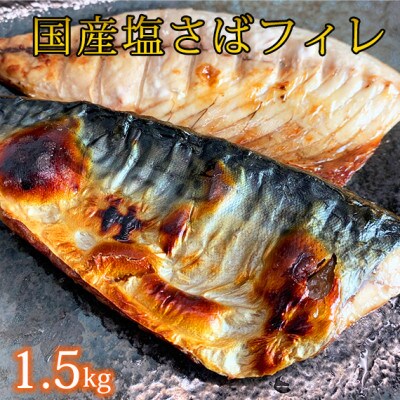 国産塩さばフィレ　1.5kg