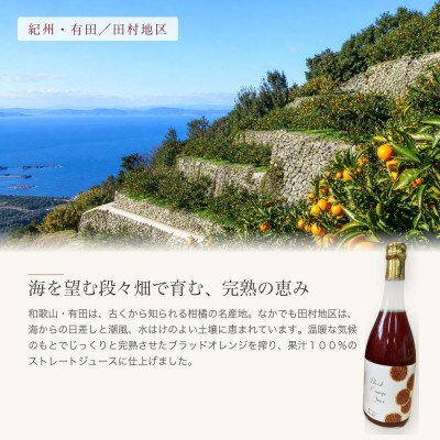 ブラッドオレンジ果汁100%ジュース　720ml×2本【紀州有田田村産】