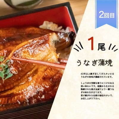 【毎月定期便】魚鶴商店が選ぶ人気お魚D(サバフィレ・うなぎ蒲焼・銀鮭切身)全3回