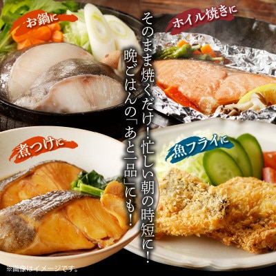 【毎月定期便】和歌山魚鶴仕込みのだし漬け銀だら切身4切・銀鮭切身4切・塩さばフィレ4枚全3回