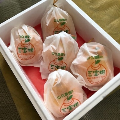 まるごと三宝柑シャーベット 5個セット