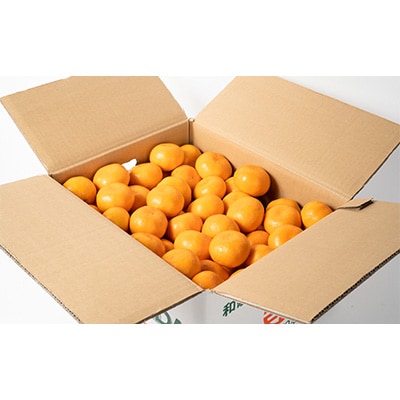 【和歌山県湯浅町産】山田みかん 秀品 5kg