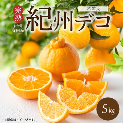 果肉プリプリ!完熟紀州デコ(不知火) 約5kg
