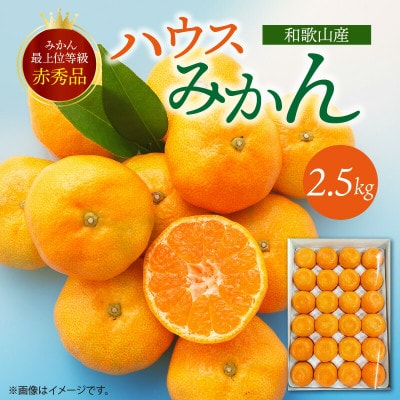 ＜先行受付＞【赤秀品】紀州和歌山ハウスみかん2.5kg　化粧箱入