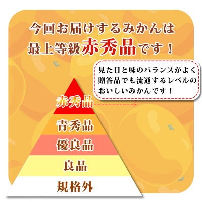 ＜先行受付＞【赤秀品】紀州和歌山ハウスみかん2.5kg　化粧箱入