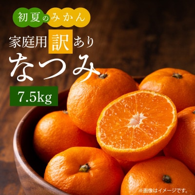 【2026年4月発送】【ご家庭用訳アリ】初夏のみかん なつみ7.5kg