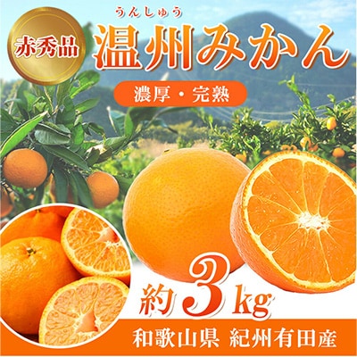 【2025年11月下旬発送】赤秀品　紀州有田産濃厚甘熟温州みかん　SorMサイズ　約3kg