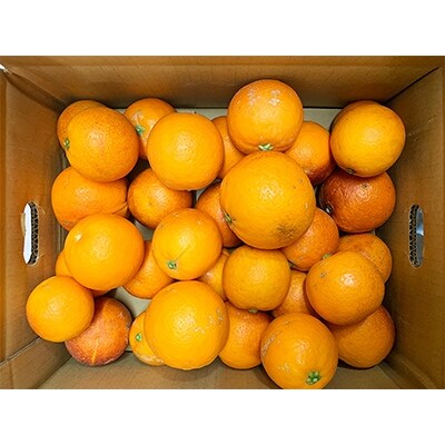 【2024年4月上旬発送】少な柑橘!紀州有田産ブラッドオレンジ　約3kg 【ご家庭用】
