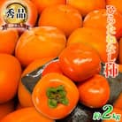 令和7年10月より順次発送【湯浅町】和歌山秋の味覚　平核無柿(ひらたねなしがき)　約2kg　化粧箱入