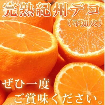 【先行受付】高級ブランド田村の完熟紀州デコ(不知火)約4.5kg(和歌山県湯浅町)
