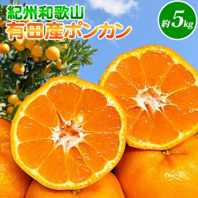 ＜先行受付＞紀州和歌山有田産ポンカン　5kg【湯浅町】