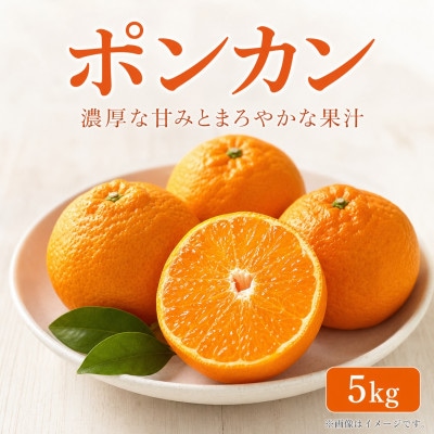 <先行受付2027年2月より発送>紀州和歌山有田産ポンカン　5kg【湯浅町】