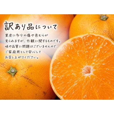 【2027年2月末頃より順次発送】【ご家庭用訳あり】紀州和歌山湯浅産　せとか　約5kg