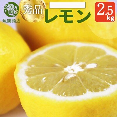 【先行予約】【2027年3月上旬より発送】秀品　紀州湯浅産レモン　2.5kg