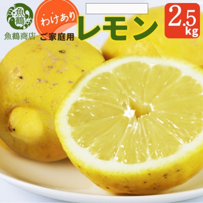 【先行予約】【2027年3月上旬より発送】【ご家庭用訳あり】紀州湯浅産レモン　2.5kg