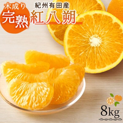 紀州有田産木成り完熟紅八朔8kg
