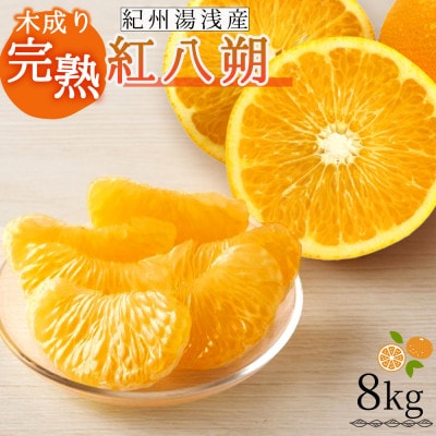 【先行予約】【2027年2月下旬より発送】紀州湯浅産木成り完熟紅八朔8kg