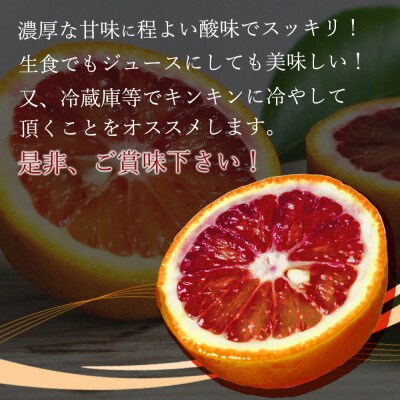 <先行受付>希少な柑橘!紀州有田産ブラッドオレンジ　約5kg 【ご家庭用】