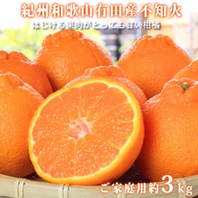 【2025年2月中旬発送】【ご家庭用】紀州有田産不知火(しらぬひ) 3kg