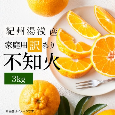 【先行予約】【2027年2月中旬より発送】【ご家庭用】紀州湯浅産不知火(しらぬひ) 3kg