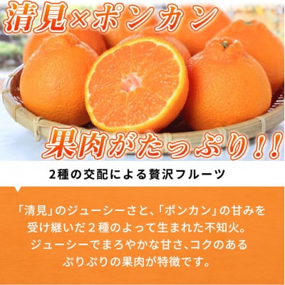 【ご家庭用】紀州有田産不知火(しらぬひ) 3kg