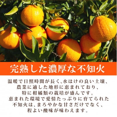 【ご家庭用】紀州有田産不知火(しらぬひ) 3kg