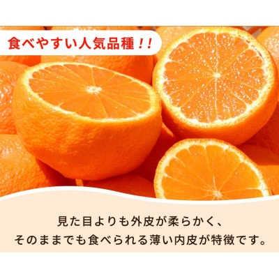 【ご家庭用】紀州有田産不知火(しらぬひ) 3kg