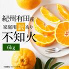 【ご家庭用】紀州有田産不知火(しらぬひ) 6kg