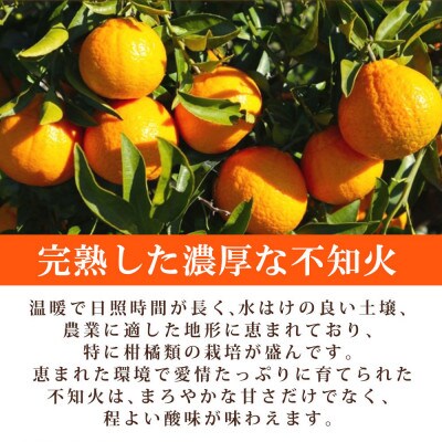 【ご家庭用】紀州有田産不知火(しらぬひ) 6kg
