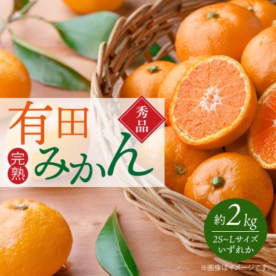 【2026年11月下旬より発送】秀品　有田みかん 2kg　2S ～ Lサイズのいずれか