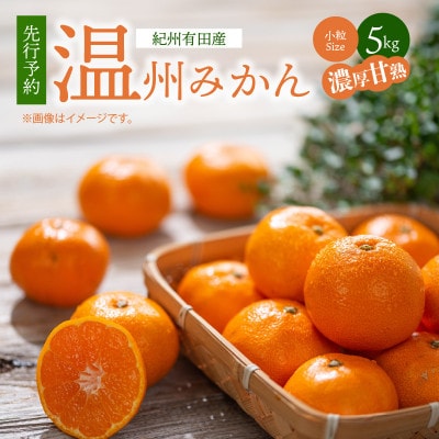【2026年11月下旬より発送】有田の小粒みかん5kg　(S～3Sサイズ混合)